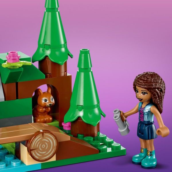 Конструктор LEGO Friends Лісовий водоспад 41677