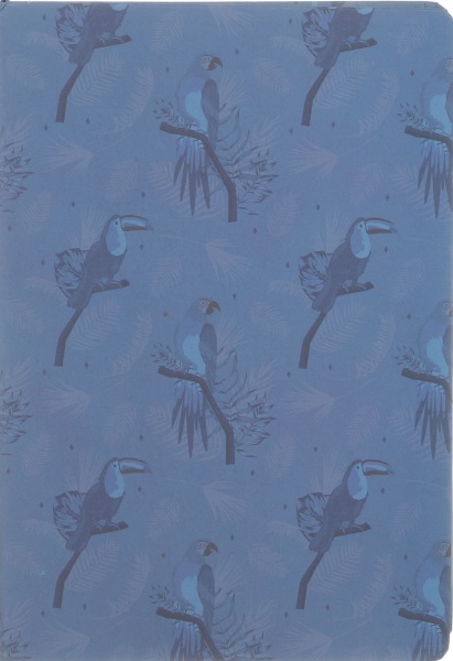 Блокнот Папуга 21х14,5 см Mikirei