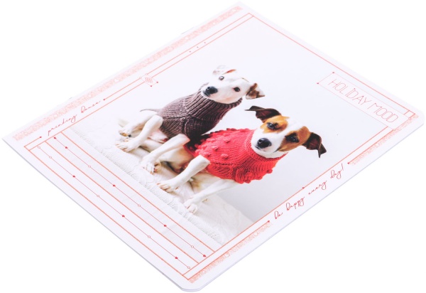 Тетрадь школьная Tadward коса