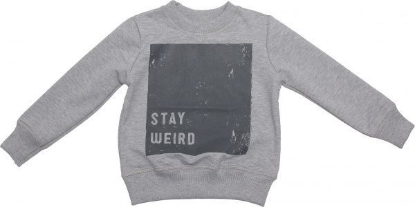 Свитшот Маленькие люди 4 р.134 серый 