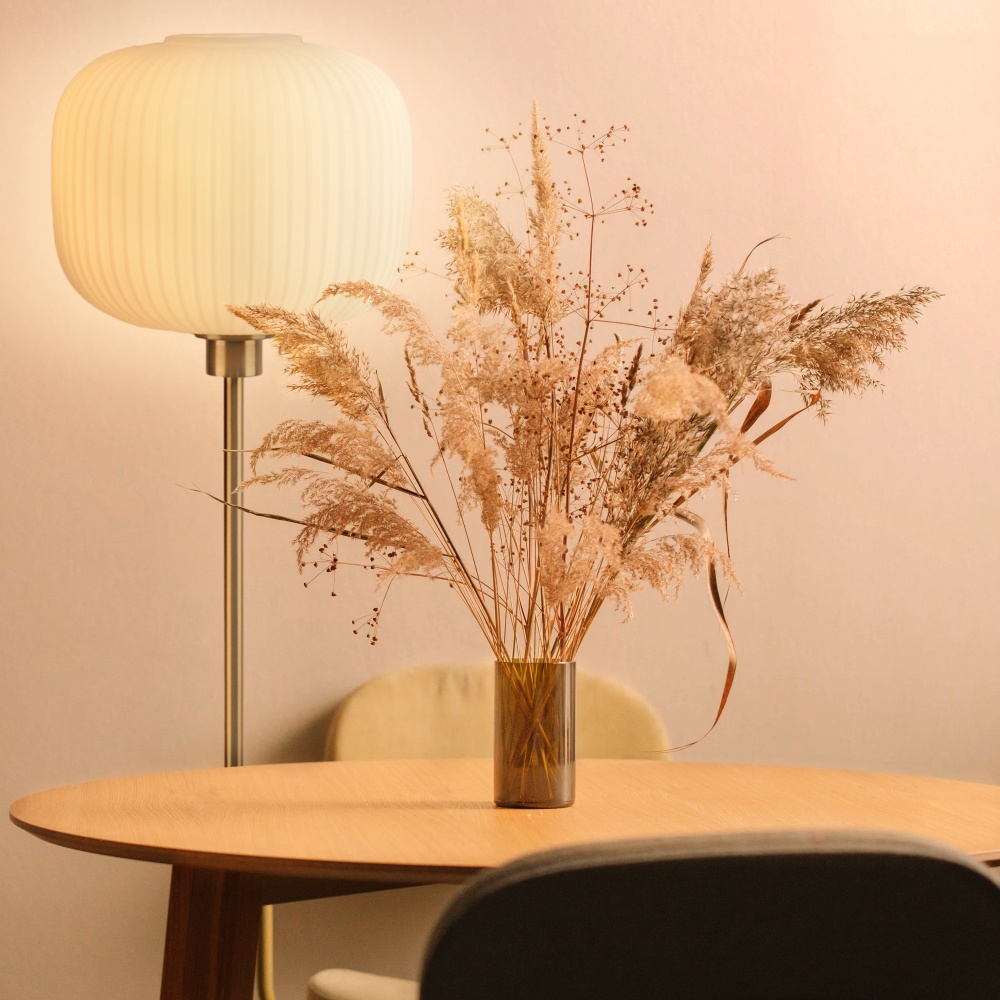 Торшер Miorro Bravo металл/стекло 40 Вт E27 белый 51-310-004