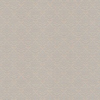 Шпалери зі спіненого вінілу Vinil Тосо ВКП 6-1270 0,53x10,05 м 