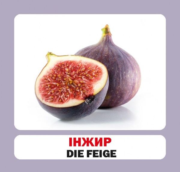 Книга «Навчальний посібник. Фрукти. нім-укр»