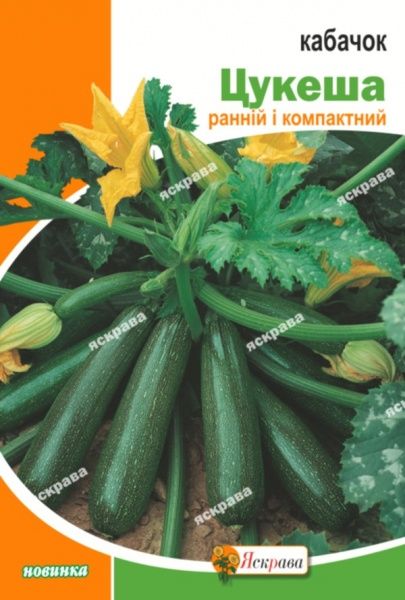 Семена Яскрава кабачок Цукеша 20г (4823069810696)