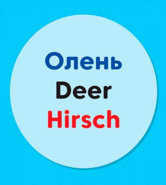 Книжка-розвивайка «Словничок у малюнках : Дикі тварини» 978-966-7491-21-5