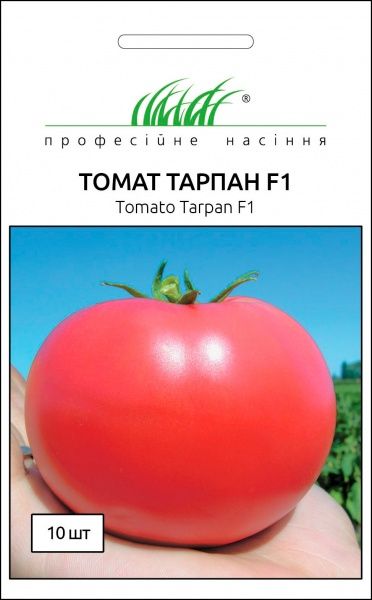 Семена Професійне насіння томат Тарпан 10 шт.