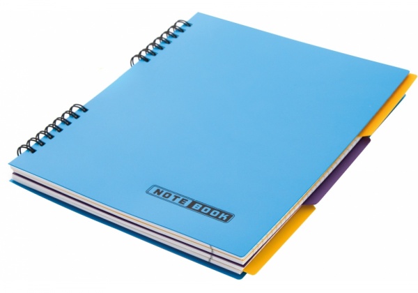 Блокнот евроспираль 120 листов E20225 Economix