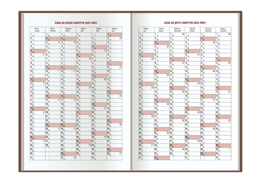 Щоденник датований Economix A5 2025 E21853 мульті