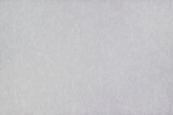 Обои виниловые на флизелиновой основе Vinil Брокс СШТ 3-1446 1,06x10,05 м 