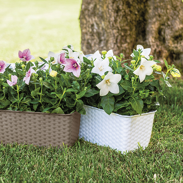 Вазон пластиковый Stefanplast Natural прямоугольный 5,3л бежевый 