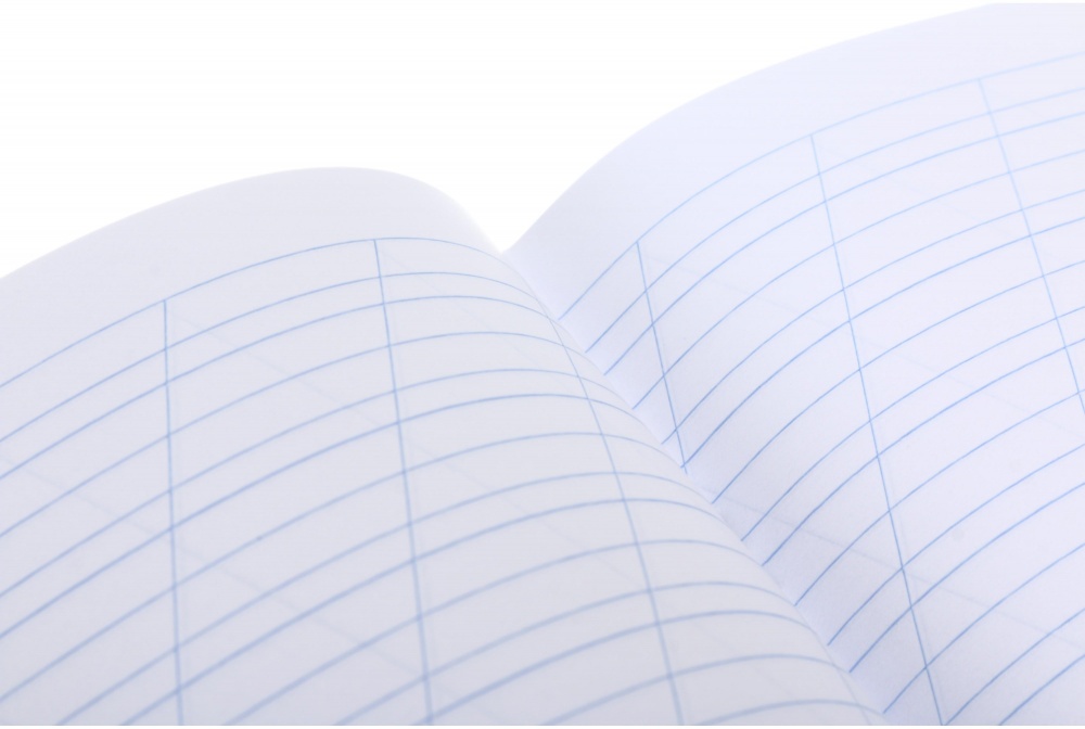 Тетрадь 12 листов в косую линию (2252547036013) Nota Bene