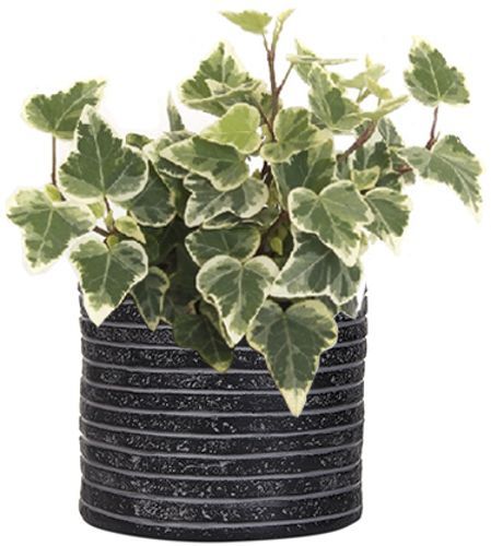 Кашпо керамическое Capi Row круглый 2л черный (069765) 