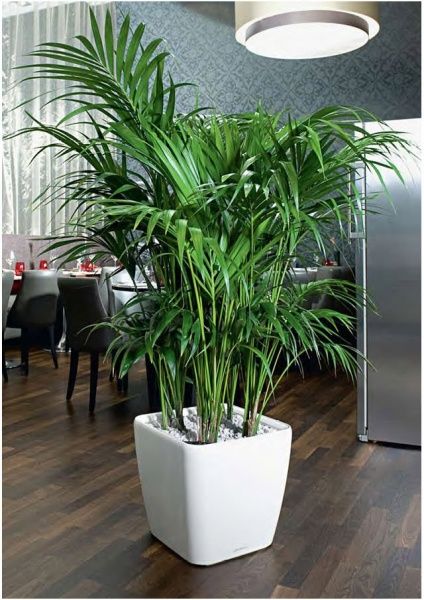 Вазон пластиковый Lechuza Quadro Premium LS 43 квадратный 71,6л белый (16180) 