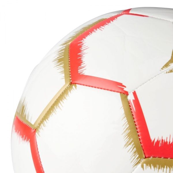 Футбольный мяч Pro Touch FORCE 30 413162-900001 р.5