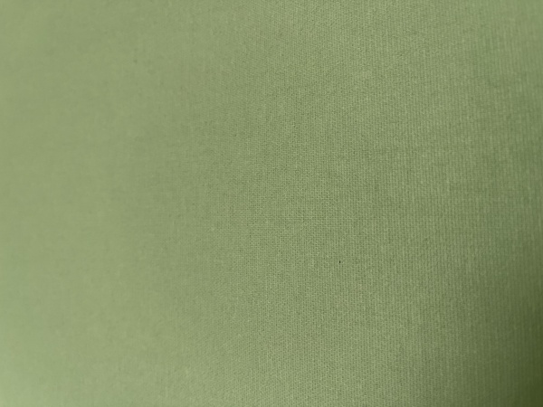 Ролета термо (blackout) Gardinia Севілія 54x185 см зелена 