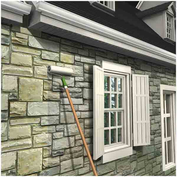 Очисник висолів Sika Sikagard-S 1 л