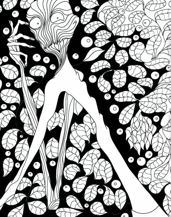 Раскраска Дмитрий Чулков «Дива та чари України» 978-617-522-149-5