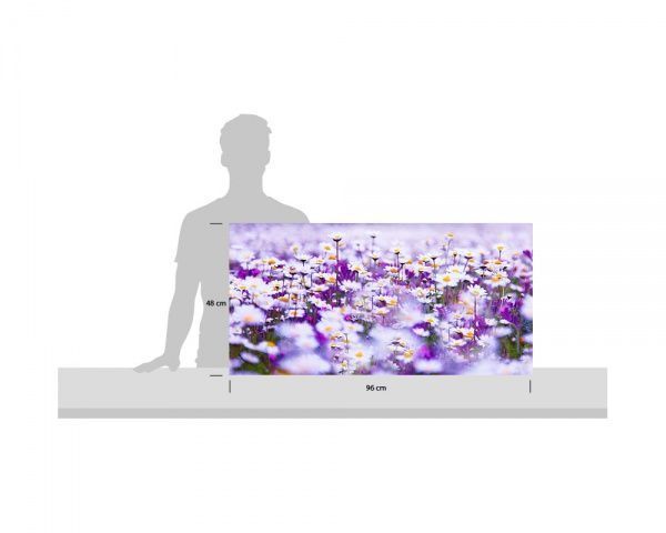 Репродукция Поле ромашек. Daisies 96x48 см i_96x48_00058 