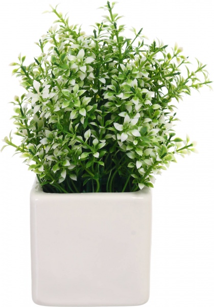 Растение искусственное каланхое в керамическом горшке белый