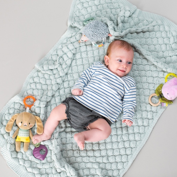 Брязкальце Taf Toys Садочок у місті Кролик Дженні 12995