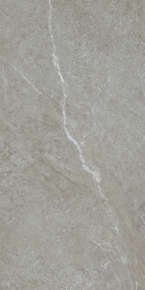 Плитка Allore Group Mariya Grey F P R Mat 60x120 см