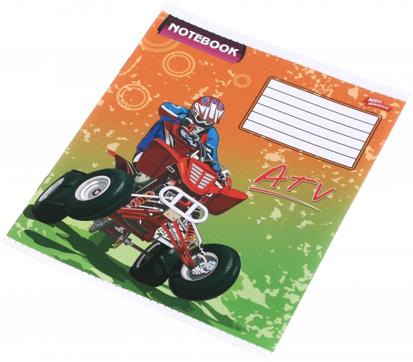 Зошит шкільний 12 аркушів у косу лінію в асортименті Мрії збуваються