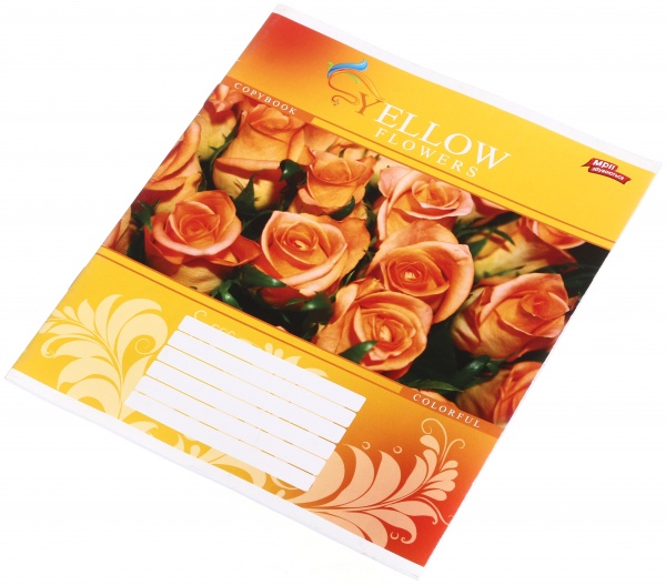 Тетрадь школьная 18 листов в линейку в ассортименте Мечты сбываются