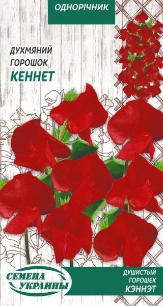 Семена Семена Украины горошек душистый Кэннэт 783500 1 г
