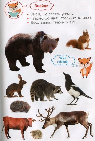 Книга «Фотокнига. Царство тварин. Серія шукайчик. Тв.обкладинка»