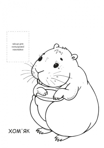 Раскраска «Домашние любимцы» 9789664403853