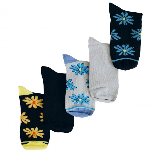 Комплект шкарпеток Легка хода 4823115708335 р.36-38 в асортименті 5 шт.