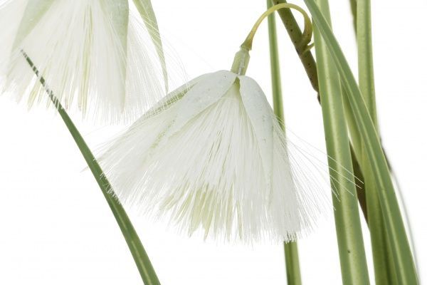 Растение искусственное Кортадерия в пластиковом горшке 107 см бело-зеленая