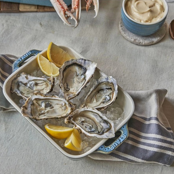 Набор форм керамических Collection Ceramique 2 предметы бирюза 40511-924-0 Staub