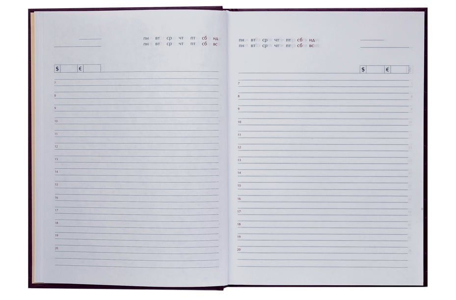 Дневник недатированный MONOCHROME бордовый Buromax A5 BM.2055-13