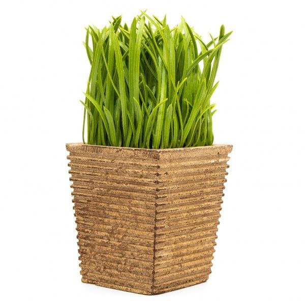 Растение искусственное Трава в квадратном горшочке 15 см 960330 Девилон