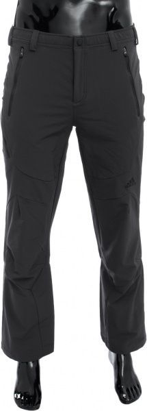 Брюки Adidas Terrex Swift AP8365 р. 52 серый