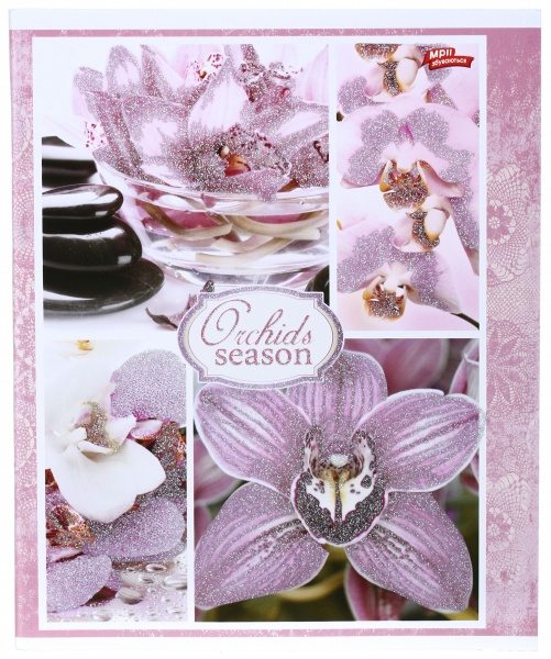 Тетрадь школьная с глитером 60 листов в клеточку в ассортименте Мечты сбываются