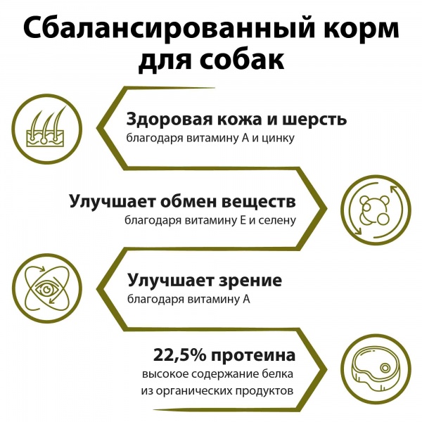 Корм сухой для собак для всех пород German Shephy Silver Lamm & Reis ягнёнок и рис 10 кг