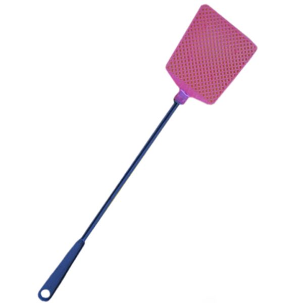 Мухобійка Лео