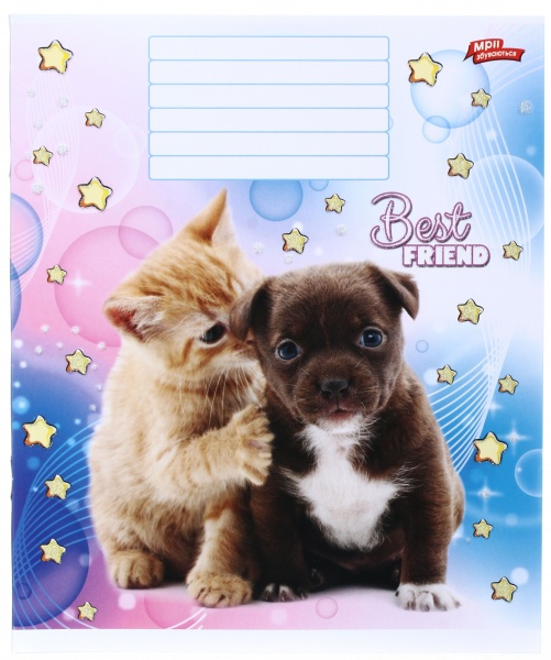 Тетрадь школьная с глитером 18 листов в клеточку в ассортименте Мечты сбываются