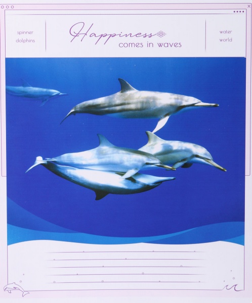 Тетрадь школьная Tadward коса