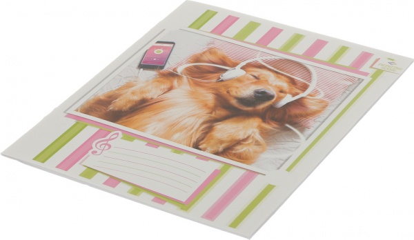 Тетрадь для нот Музыкальные 5 12 листов в ассортименте