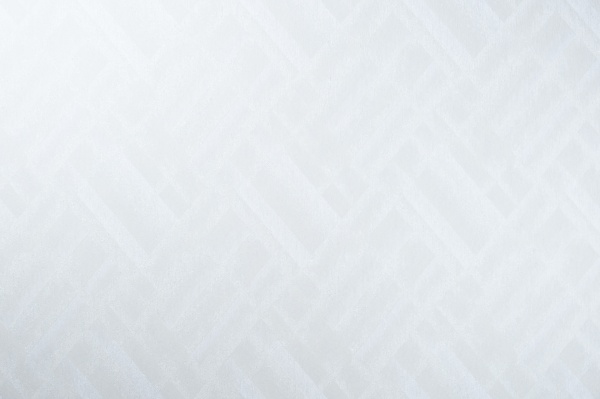 Обои виниловые на флизелиновой основе Vinil Шерли стена ДХС-1582/1 1,06x10,05 м 