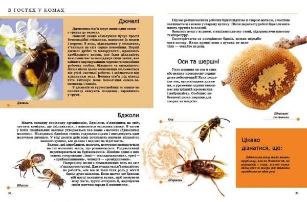 Книга «Комахи та інші» 978-966-935-238-5