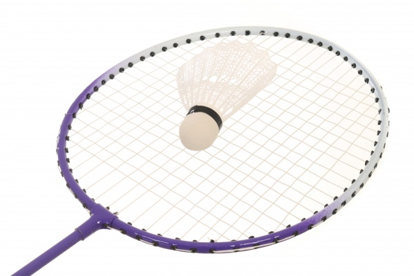 Набор для бадминтона MaxxPro BDDMP-202фиолетовый 