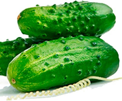 Семена Садовий Світ огурец На зависть соседу F1 Родничок 0,5г