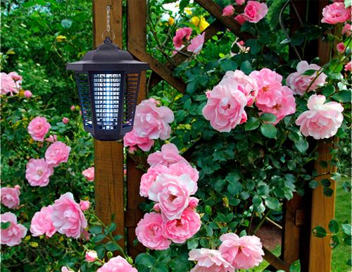 Вуличний знищувач комах Ізотронік BY-C328