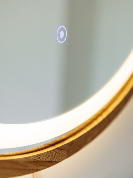 Зеркало со встроенной подсветкой Luxury Wood Perfection Slim LED ясень темный D650 мм 