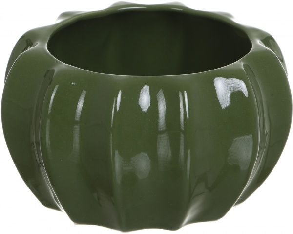 Скринька Кактус WW 2704-15 зелена Eterna