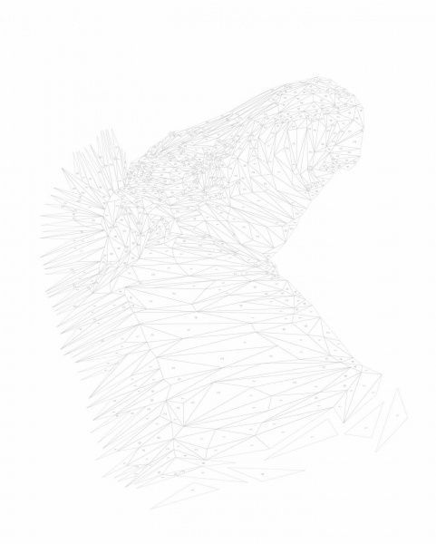 Раскраска по номерам «Зоометрія. Дикі тварини» 9-786-177-579-921